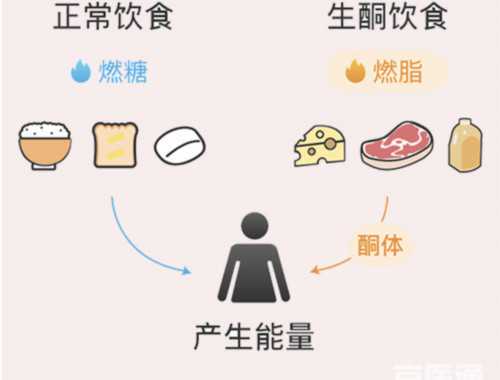 普通人健身适合吃什么水果